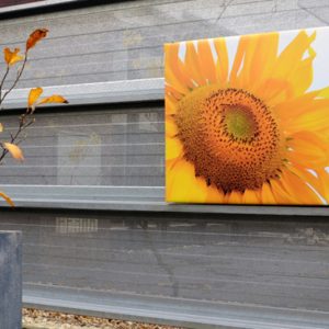 Tuinposter op 4cm frame 60x60 cm